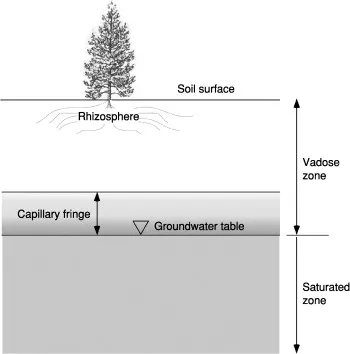 Capillary Fringe Image